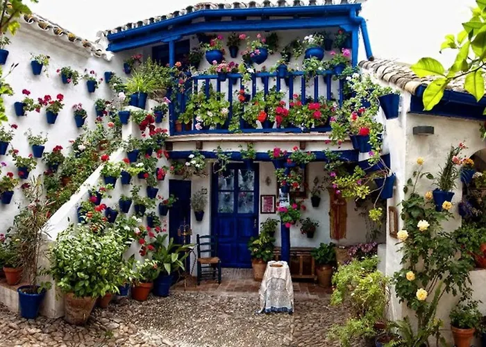 Apartamento Acogedor Loft En Bajo Centrico Con Parking Wifi *