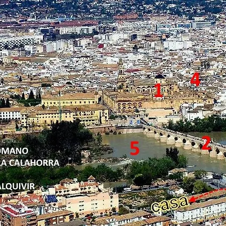 Acogedor Loft En Bajo Centrico Con Parking Wifi *