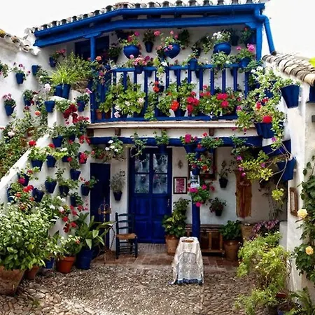 公寓 Acogedor Loft En Bajo Centrico Con Parking Wifi *