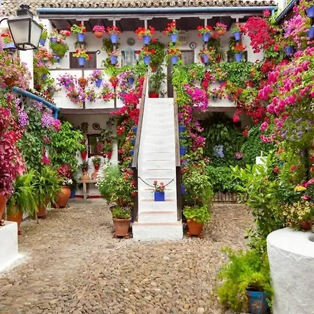 Acogedor Loft En Bajo Centrico Con Parking Wifi *